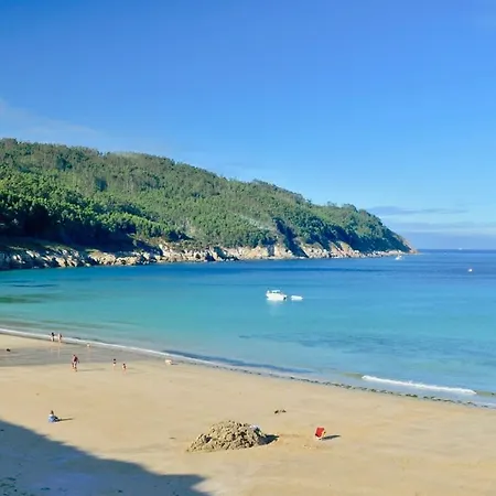 The Cliffs - Polo Blue O Vicedo