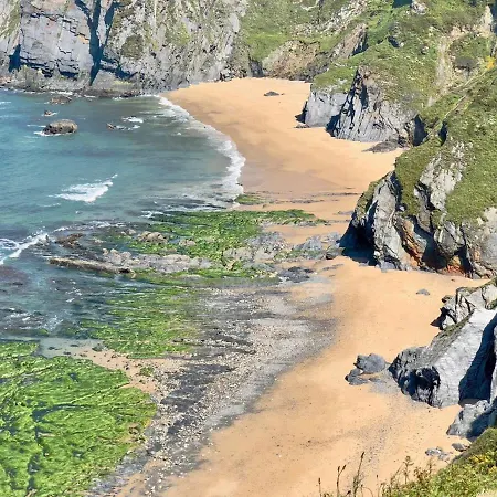 The Cliffs - Polo Blue O Vicedo