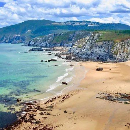 The Cliffs - Polo Blue O Vicedo