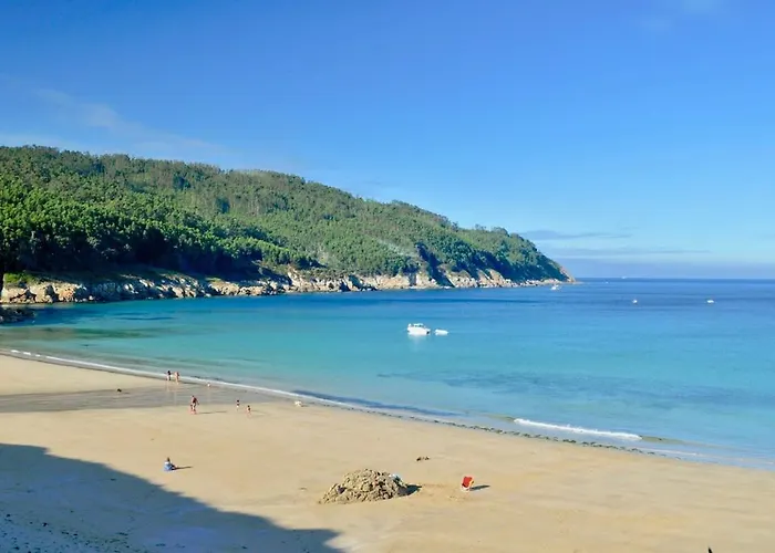 The Cliffs - Polo Blue O Vicedo