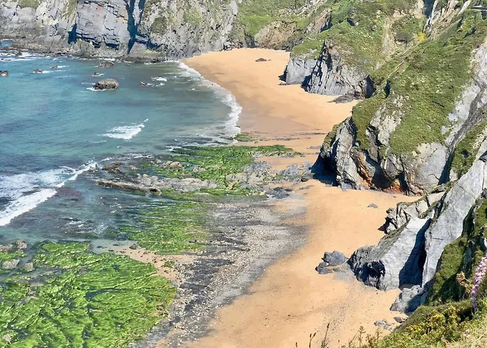 The Cliffs - Polo Blue O Vicedo