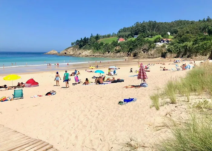 The Cliffs - Polo Blue O Vicedo